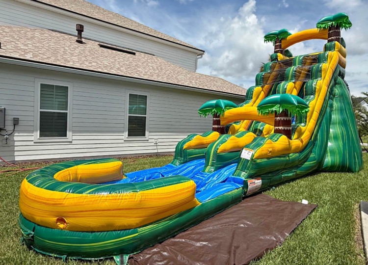 20ft Cali Palms Water Slide