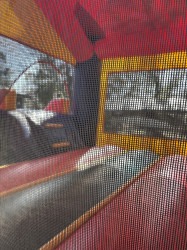 IMG 4865 1766581754 13x16 Color Combo