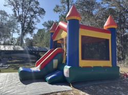 IMG 4866 1766581755 13x16 Color Combo